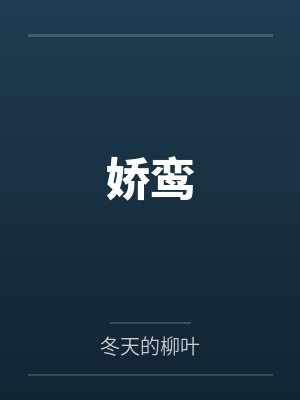 明朝大佬戚继光封面