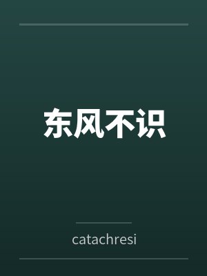 飞来破封面