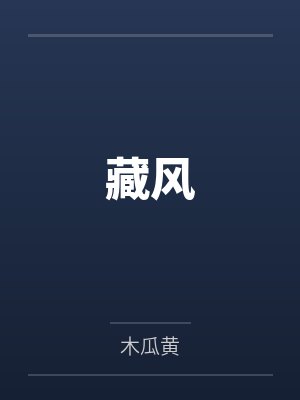 官场悍将封面