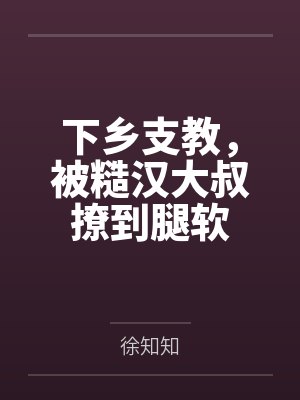2我的律师大人封面